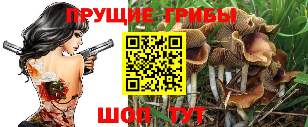 Кувандык  Галлюциногенные грибы ЛСД  Вход с VPN  Галлюциногенные грибы ЛСД 